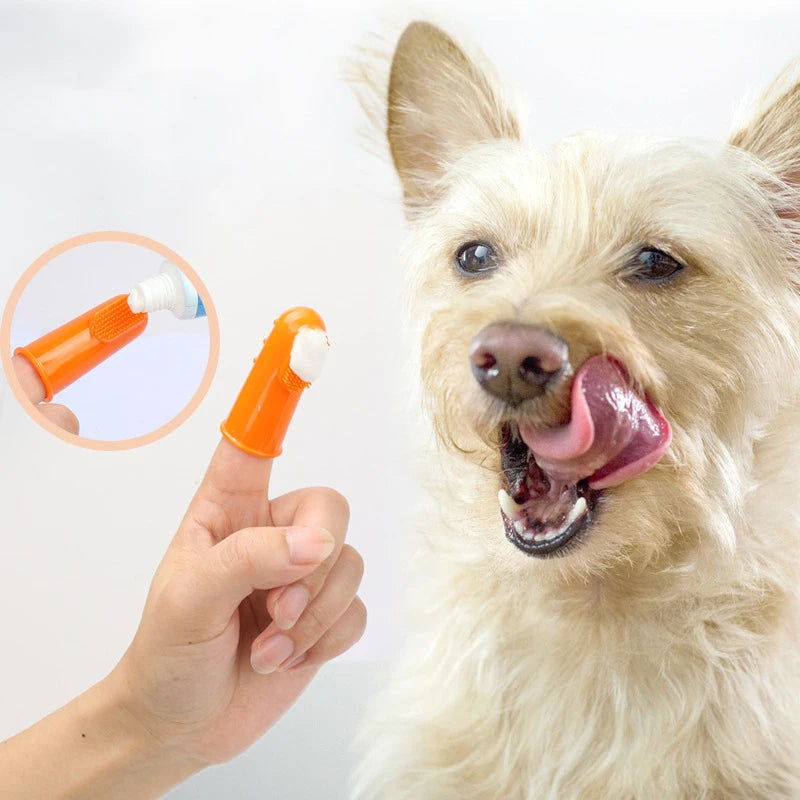 Dog Toothbrush 4PC Dog Teeth Cleaning Soft Toothbrushes for Dogs Oral Clean Massage Pet Oral Products Grooming Tooth Brush Dog
