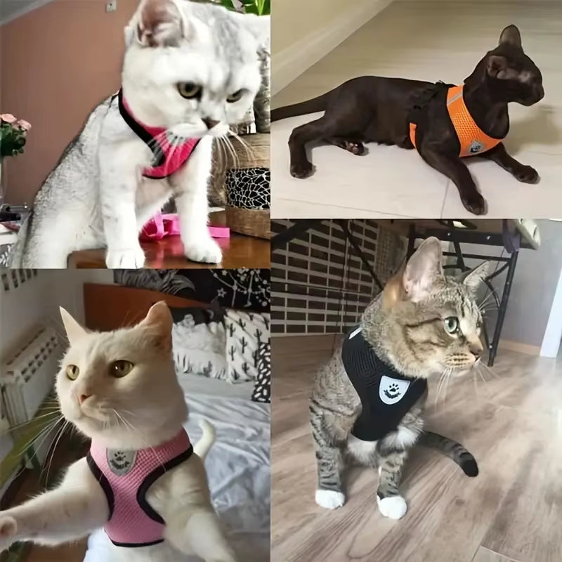 Breathable Mesh Cat Small Dog Harness and Leash Kitten Cats Harnesses Little Dog Puppy Harness for French Bulldog Chihuahua Pug